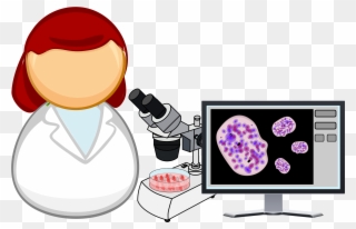 Picture Library Library Microbiologist - Cell Clip Art - Png Download