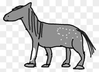 Horse - Grey - Illustration Clipart
