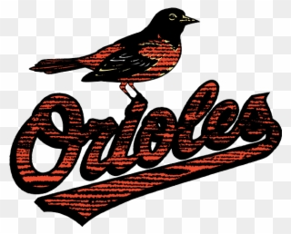 Baltimore Orioles 2009-present Primary Logo Distressed - Robin Clipart