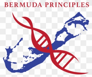 Bermuda Principles Clipart