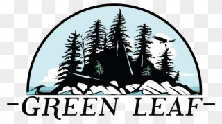 Colorado Spruce Clipart