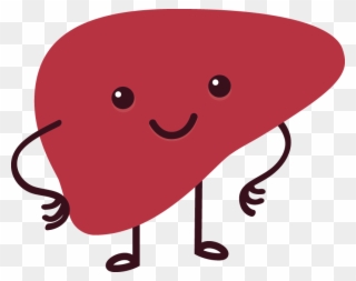 Die Leber Ist Lebenswichtig Für Sie, Arbeitet Sie Doch - Leber Cartoon Clipart
