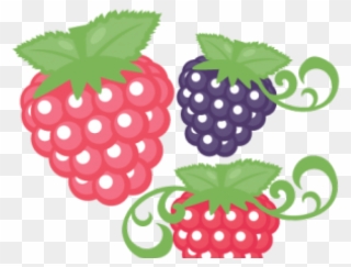 Raspberries Clipart Cute - Raspberry Fruit Pencil Art - Png Download