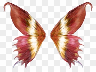Butterfly Background - Butterfly Wings Png Clipart