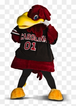 Capital One Mascot Challenge 2014 - University Of South Carolina Mascot Clipart
