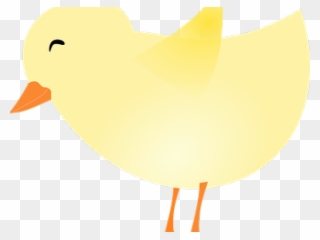 Baby Chicks Drawing With Transparent Background Clipart