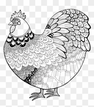 600 X 666 3 - Zentangle Art Chicken Clipart