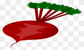 Beet Clipart - Png Download