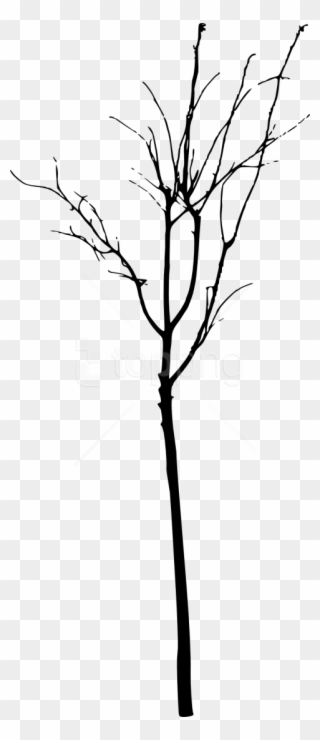 Free Simple Bare Tree Silhouette Free Images Transparent - Simple Bare Tree Silhouette Clipart