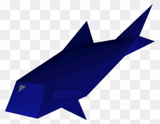 A Raw Giant Carp Is Caught As Part Of The Fishing Contest Clipart