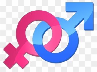 Parity Gender Symbol Male Icon Free Hd Image Clipart - Masculine And Feminine Logo - Png Download
