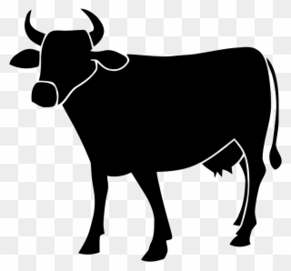 The May 2014 National Geographic Features An Article - Cattle Silhouette Png Clipart