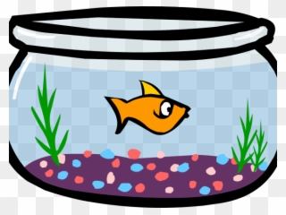 Fish Bowl Clipart Pet Fish - Animated Fish In A Bowl - Png Download