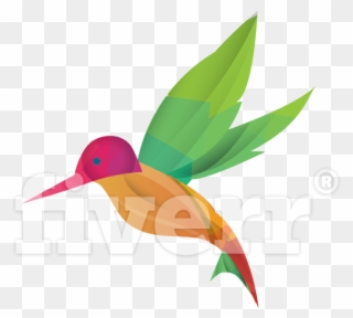 Big Worksample Image - Ruby-throated Hummingbird Clipart
