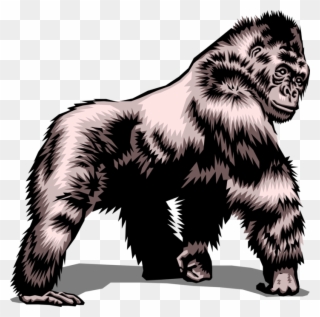 Vector Illustration Of Herbivorous Ape Silverback Gorilla - Label A Gorilla Clipart