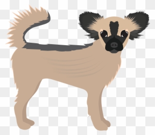 Long Hair Chihuahua Png - Small Greek Domestic Dog Clipart