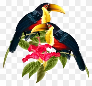 Bird Crafts, Pet - Hornbill Png Clipart