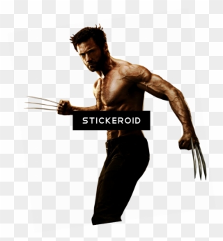 972 X 1048 3 - Wolverine Png Clipart