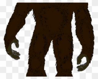 Big Foot Clipart Brown Baby - Sasquatch Decal - Png Download