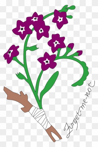 17545259 10154298993521957 1398826258739606797 O-687x1024 - Orchid Clipart