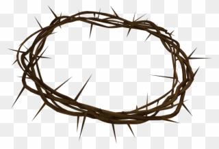 Crown Of Thorns Png Background - Coroa De Espinhos Png Clipart