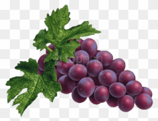 Free Png Red Grapes Png Png - Fruits To Eat For Weight Gain Clipart