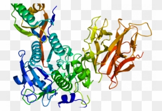 Recent News - Crystal Structure Of Pcsk9 Clipart