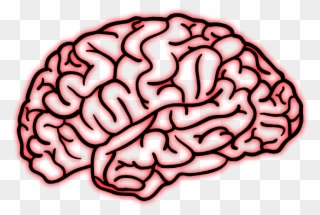 Free PNG Brain Clip Art Download , Page 5 - PinClipart
