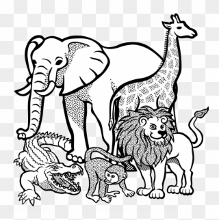Large Size Of Cartoon Elephant Drawing Vector Outline - Animals Clipart Black And White - Png Download