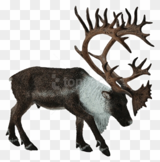 Free Png Download Reindeer Toy Figure Png Images Background - Collecta Caribou Clipart