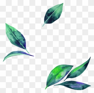 Watercolor Leaf Clipart