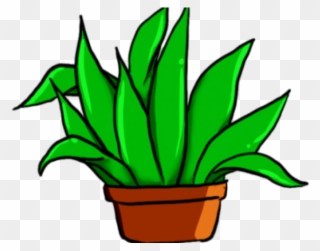 Aloe Clipart Herb Plant - Png Download