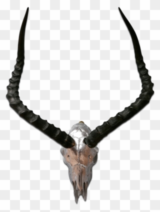 1200 X 1200 13 0 - Horn Clipart
