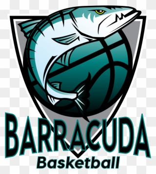 Barracuda Basketball - Barracuda Basketball Logo Clipart