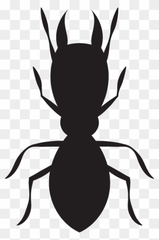 Termite - Ant Clipart