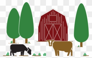 Cows Grazing On Farm - Illustration Clipart
