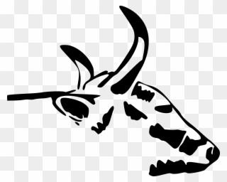 Cow Head, Side View, Illustration - Cow Head Clipart
