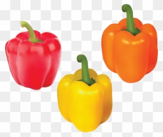 Яндекс - Фотки - Bell Pepper Clipart