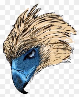 Philippine Eagle Logo Png - Philippine Eagle Head Png Clipart