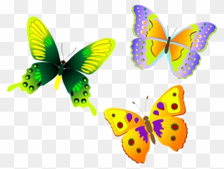 Png Official Psds Share - Butterfly Vector Free Clipart
