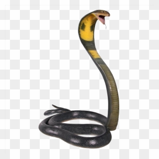 Snake Cobra Clipart