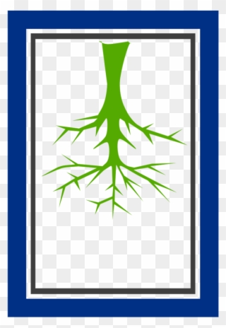 Bt Gr - Basic Part Of A Tree Clipart