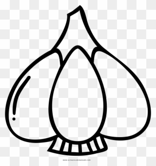 Garlic Coloring Page - Line Art Clipart