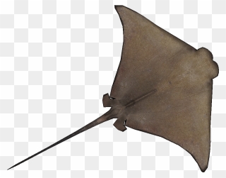 Cownose Ray Natural Design Zt2 - Cownose Ray Stingray Png Clipart