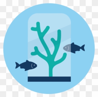 Illustration Representing Fish On A Coral Reef - Illustration Clipart