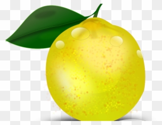 Lemon Clipart Lemon Leaf - Limon Tropical Png Transparent Png
