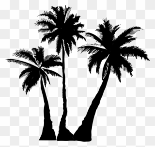 Vaporwave Palm Tree Png Transparent Background - Palm Tree Silhouette Png Clipart