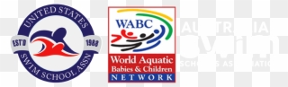 Miembros De - United States Swim School Association Logo Clipart
