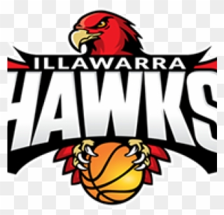 Ias Partners With The Illawarra Hawks - Illawarra Hawks Logo Png Clipart