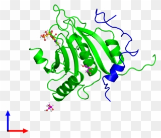 Dimeric Assembly 1 Of Pdb Entry 5t46 Coloured By Chemically - Graphic Design Clipart